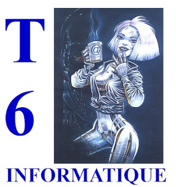 SAS CYBERZ- T6 INFORMATIQUE