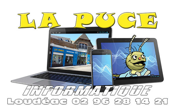 LA PUCE INFORMATIQUE