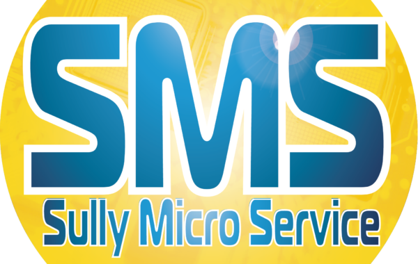 SULLY MICRO SERVICE