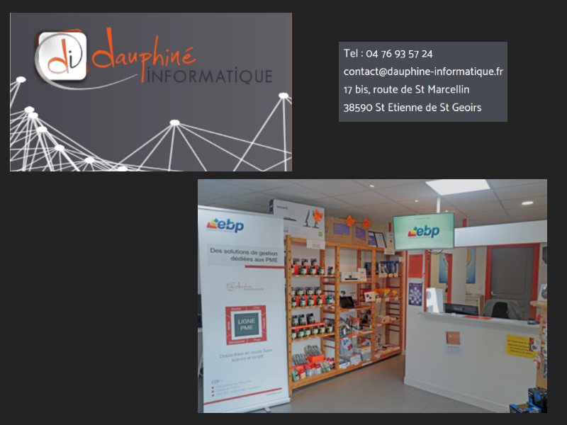 DAUPHINE INFORMATIQUE