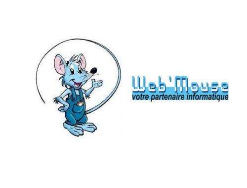 WEB MOUSE INFORMATIQUE